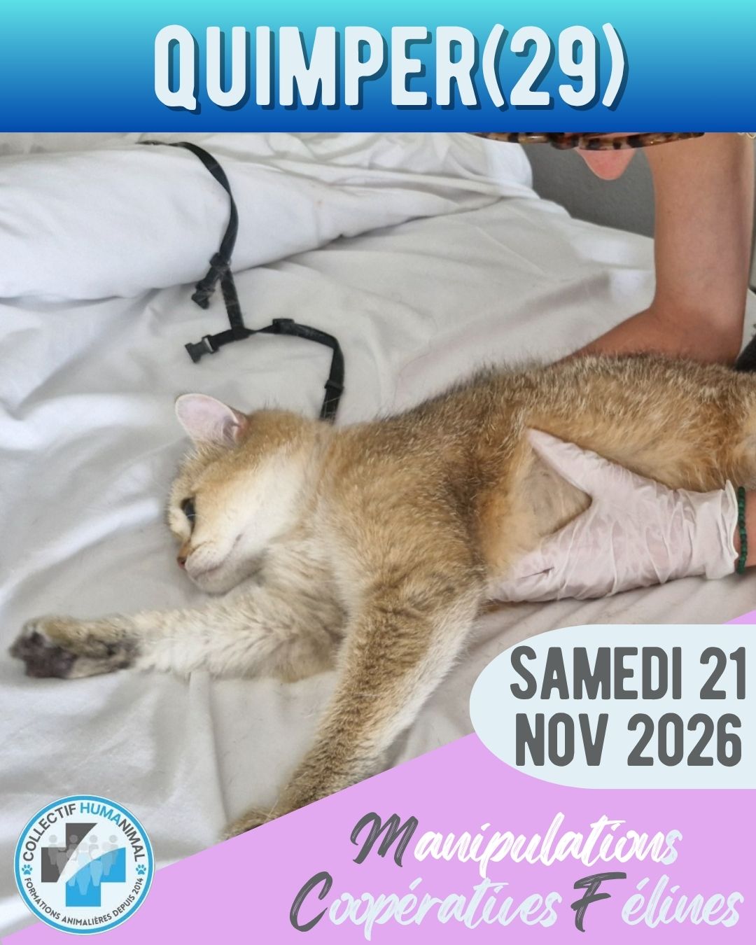 QUIMPER