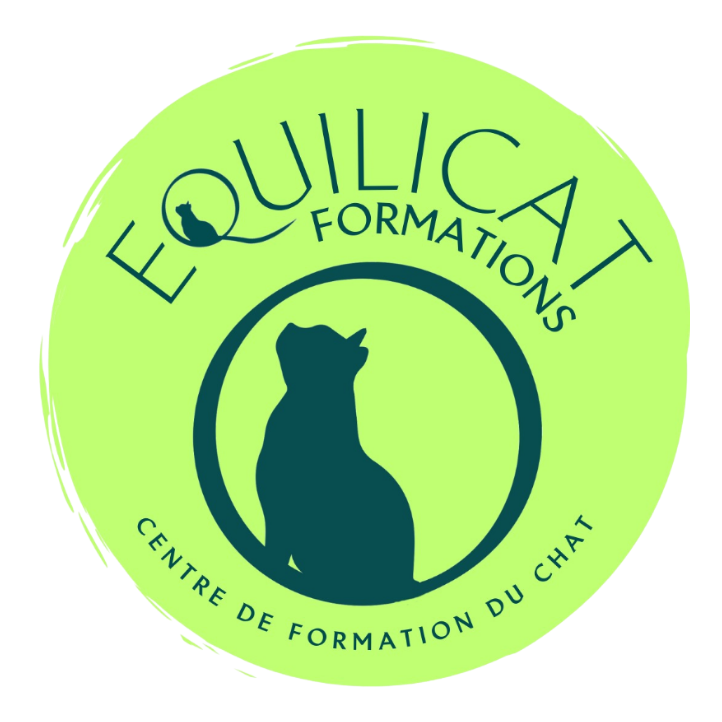 EQUILICAT FORMATIONS