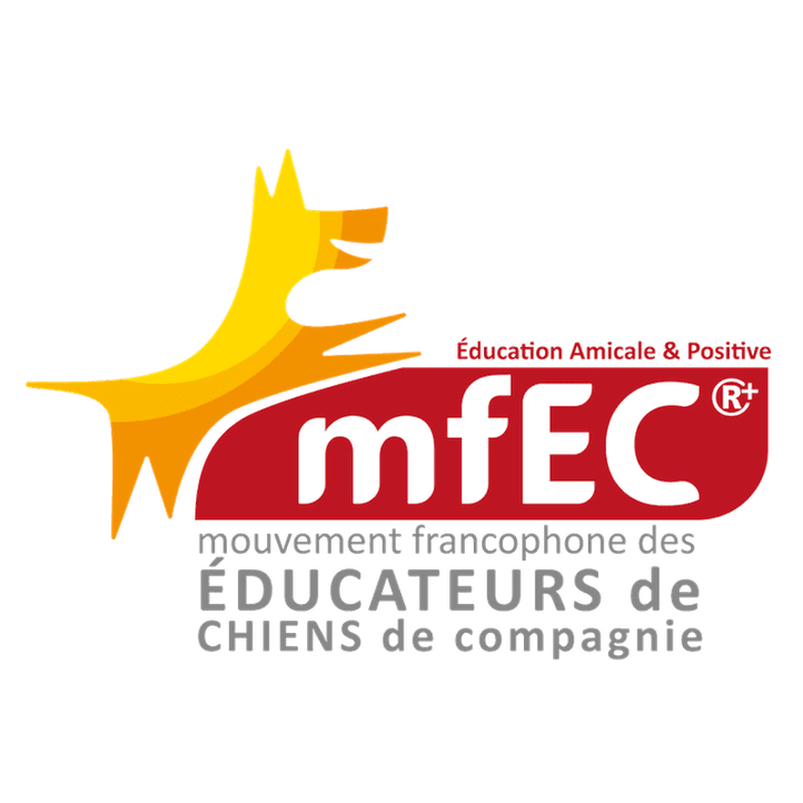 MFEC