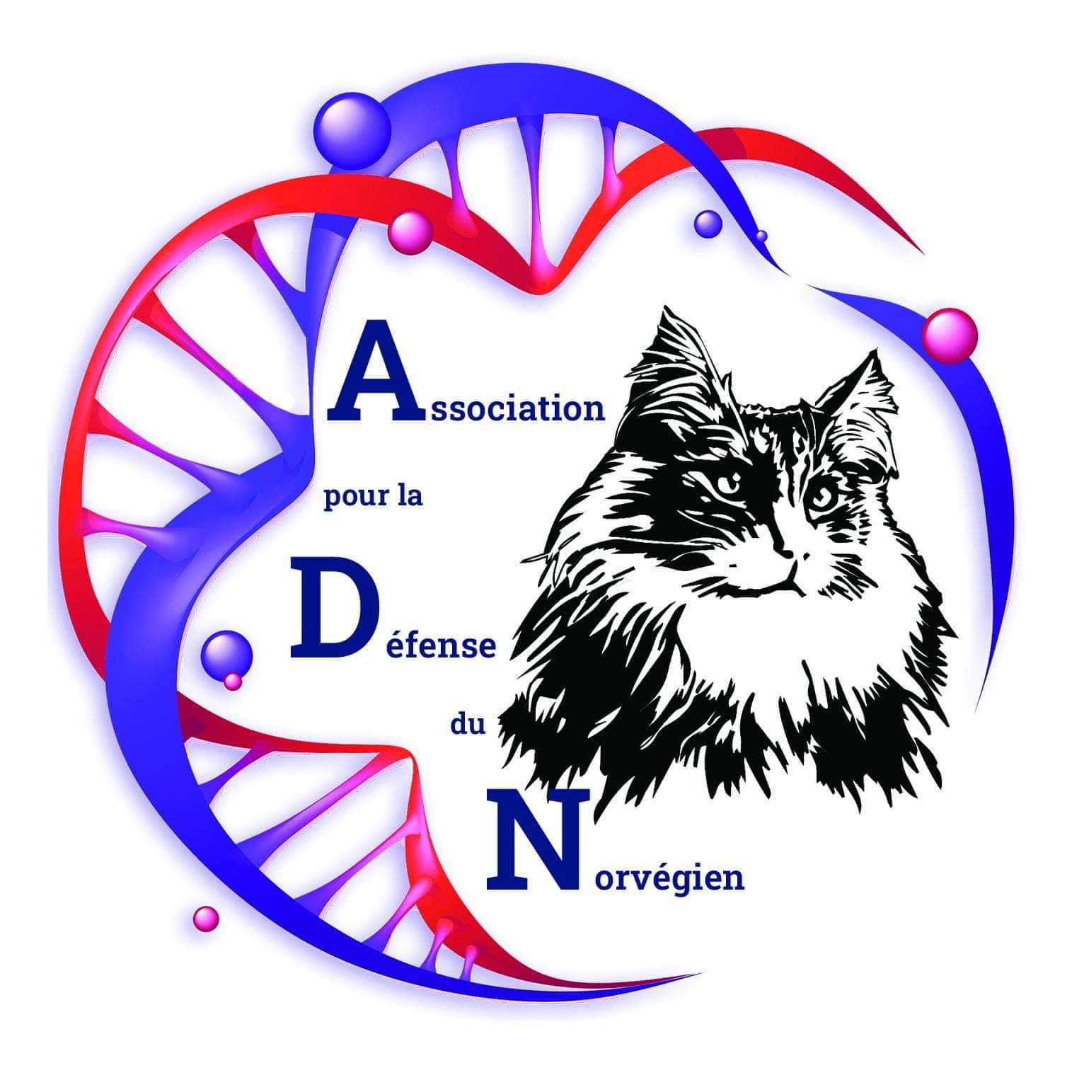 ASSOCIATION DEFENSE NORVEGIEN