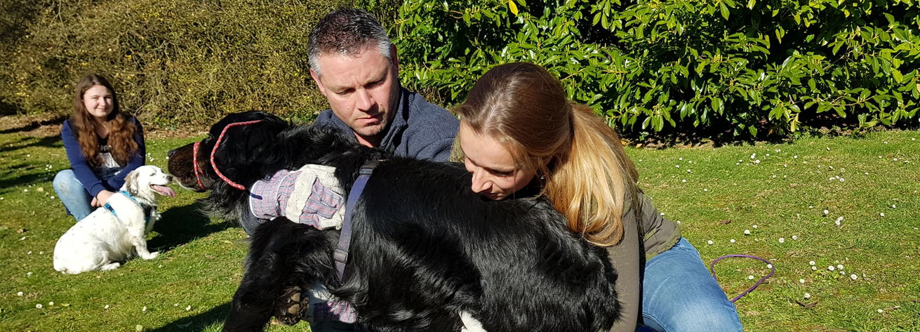 Approcher, sécuriser et évacuer un chien ou un chat blessé