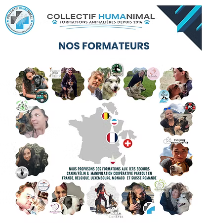 HUMANIMAL : Un Collectif au service des animaux, de leurs propriétaires et des professionnels.
