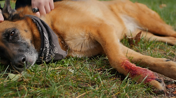 Une hémorragie externe, que faire ?